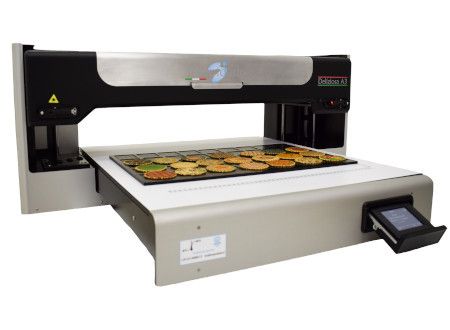 DELIZIOSA A3: THE FOOD PRINTER WITH DIRECT PRINTING